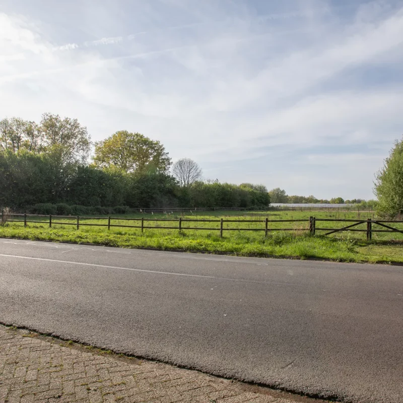 Aadijk weiland-2